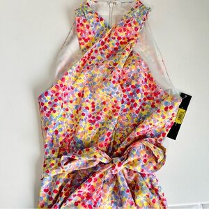 Tahari Arthur Levine Dress Women’s 8 Sleeveless A Line Full Skirt Multi Color